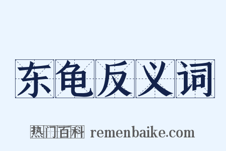 东龟反义词是什么意思的图片
